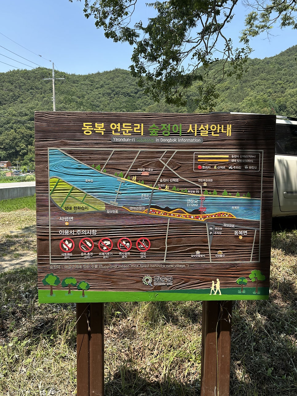 동복연둔리숲정이 사진 3