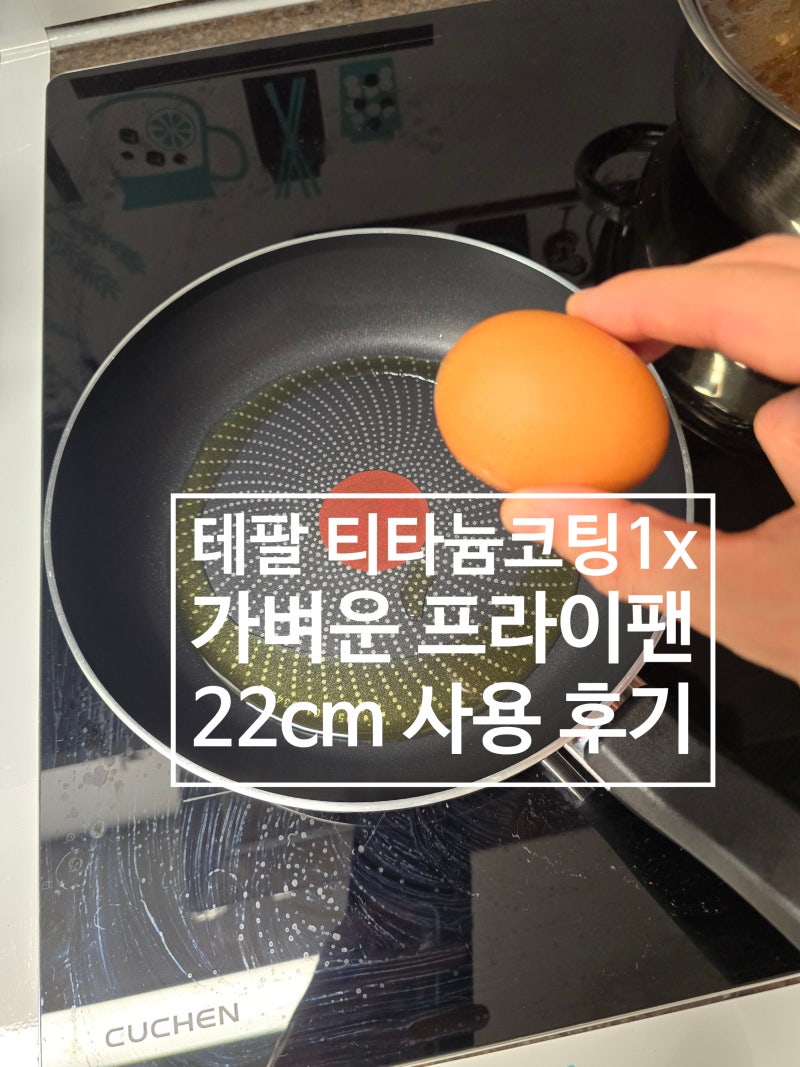 테팔 가벼운 라이트쿡 프라이팬 티타늄 코팅 1x 22cm 후라이팬 사용 후기