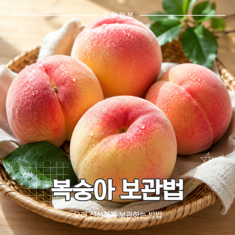 복숭아 보관법, 후숙부터 냉장보관까지 오래 맛있게 먹는 방법