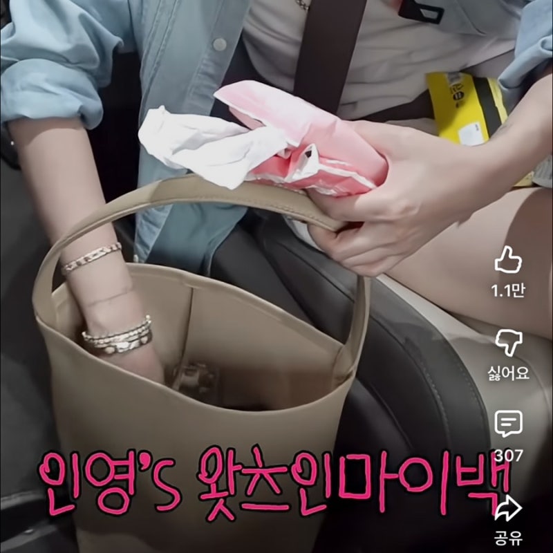 8만원짜리 서인영 가방 쿠팡 연예인 가방