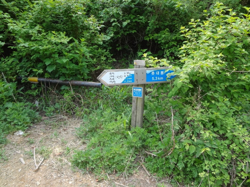 몽덕산 사진 5