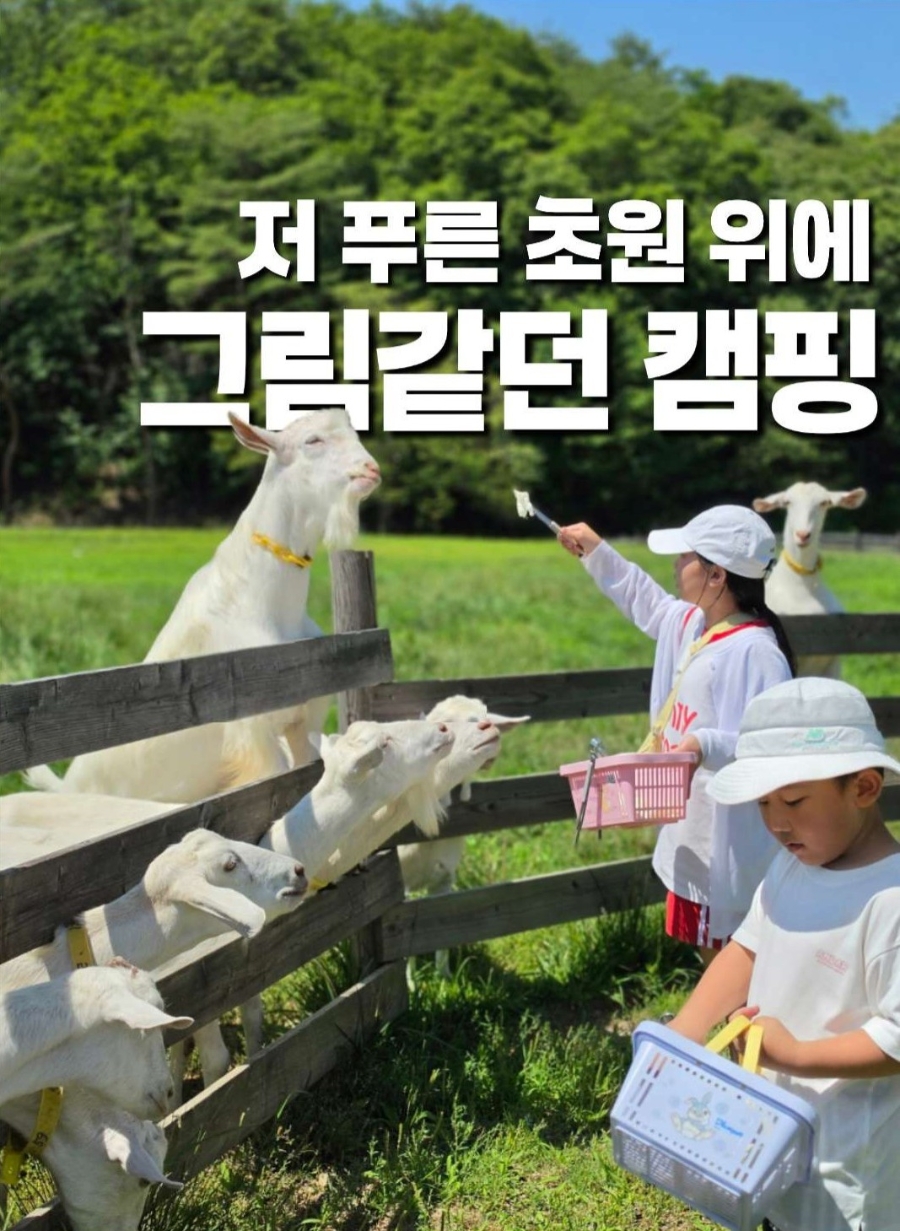 용화산테마파크 캠핑장 사진 1