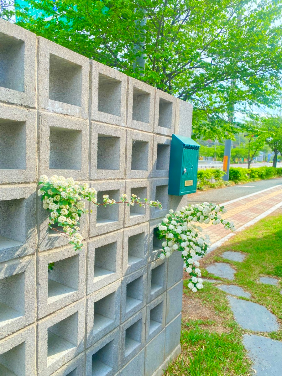 르당 사진 3