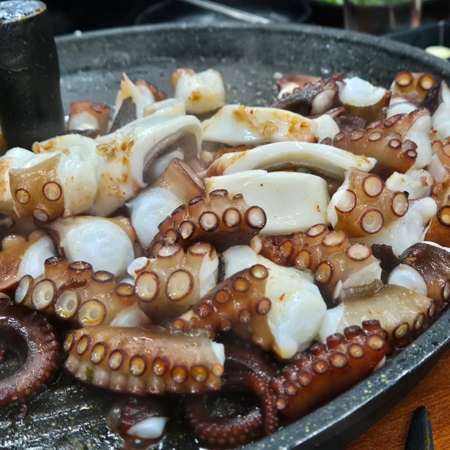 팔미육 사진 6