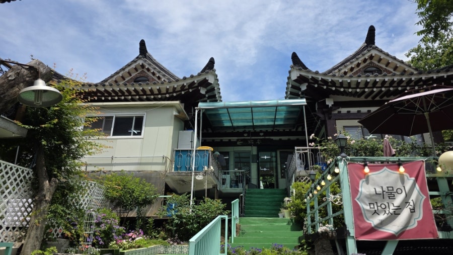 백송 사진 4
