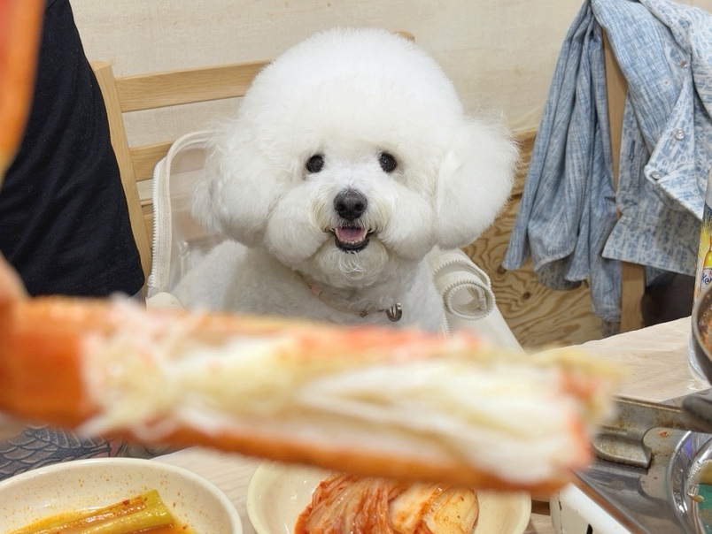 황금어장 사진 3