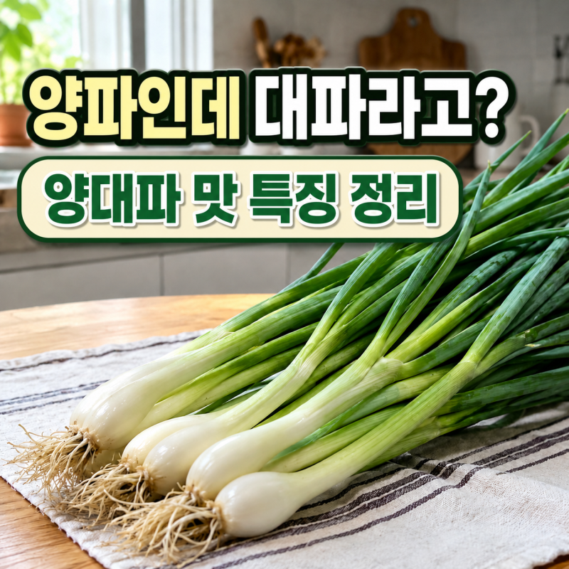 양파인데 대파라고? 양대파 특징과 이영자 양대파 김치 만드는 법