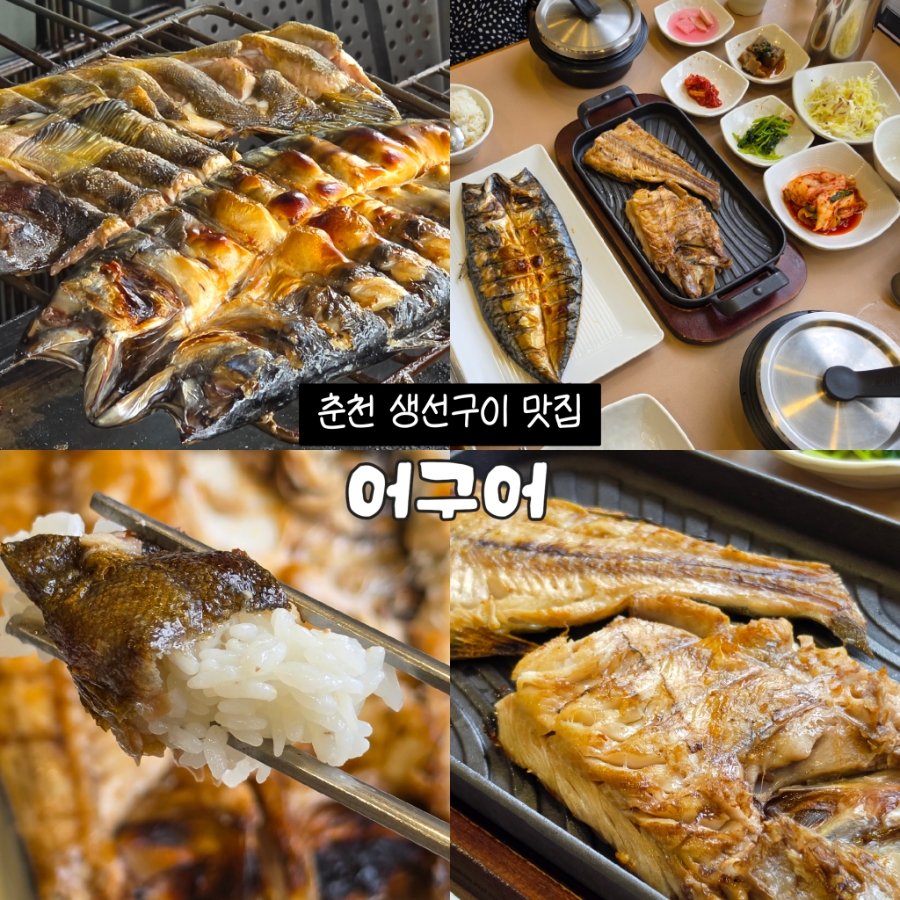 어구어 사진 1