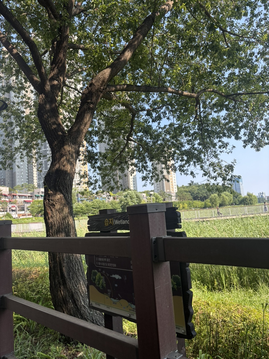 반치앙마이 광교 사진 2