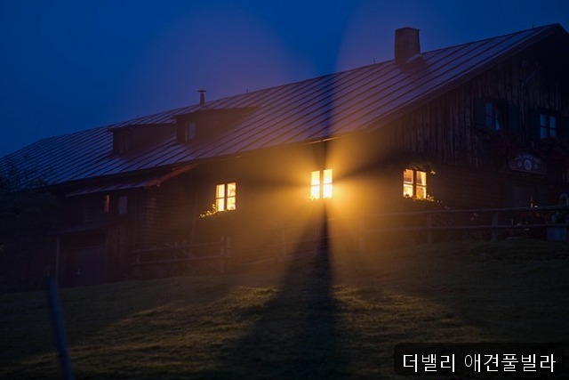 더밸리애견풀빌라 사진 1