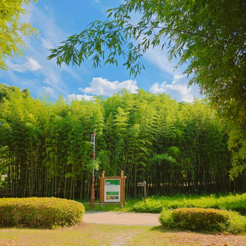 한밭수목원 운영시간 서원 산책 후기 대전 여행 나들이 가볼만한 곳