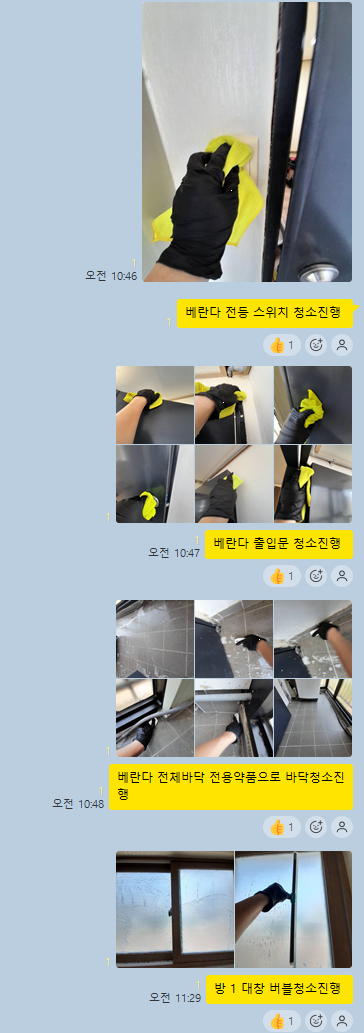 담 사진 4
