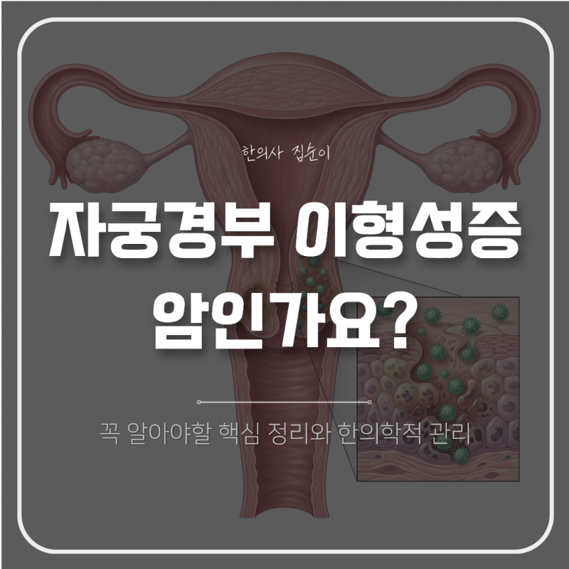자궁경부 이형성증, 암인가요? 꼭 알아야 할 핵심 정리
