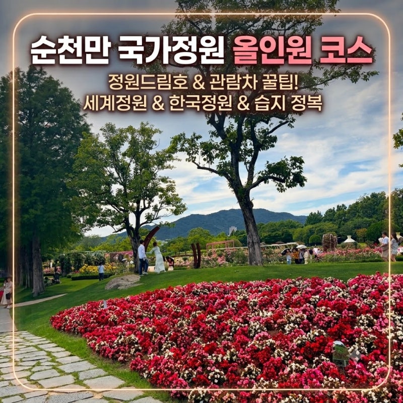 순천만국가정원 코스 추천! 정원드림호&관람차 꿀팁 가득