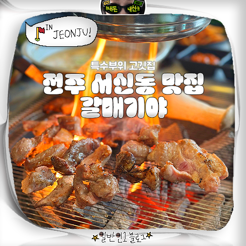 갈매기야 사진 1