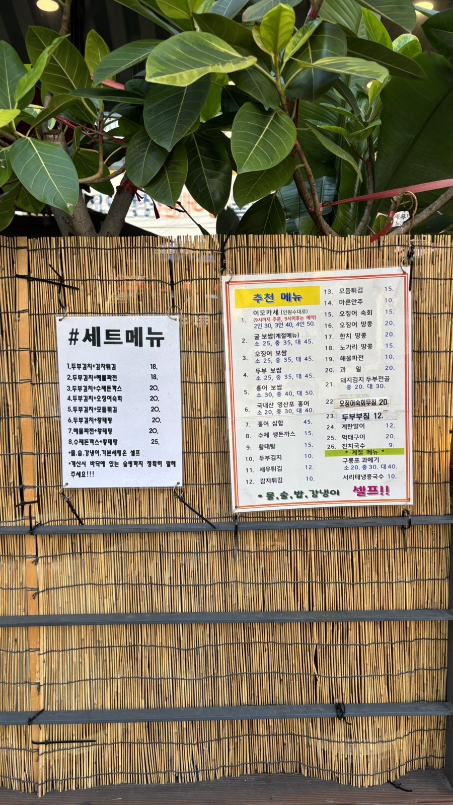 셀리하우스 사진 3