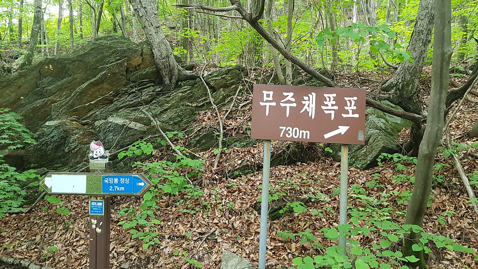 달눔자리 사진 4