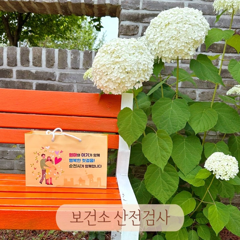 보건소 산전검사 항목 비용 준비물 금식여부 임신초기검사 후기