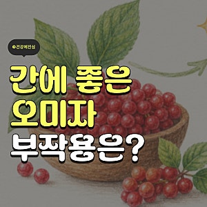 간에 좋은 오미자 효능 부작용은 없나요?