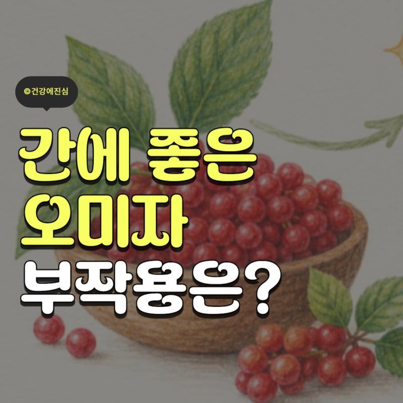 간에 좋은 오미자 효능 부작용은 없나요?