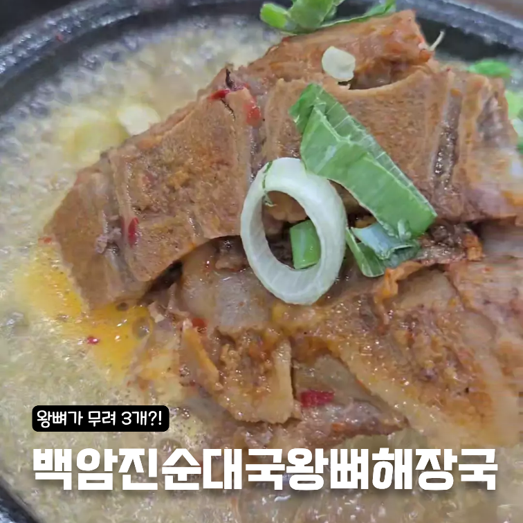 백암진순대국왕뼈해장국 안중점 사진 1