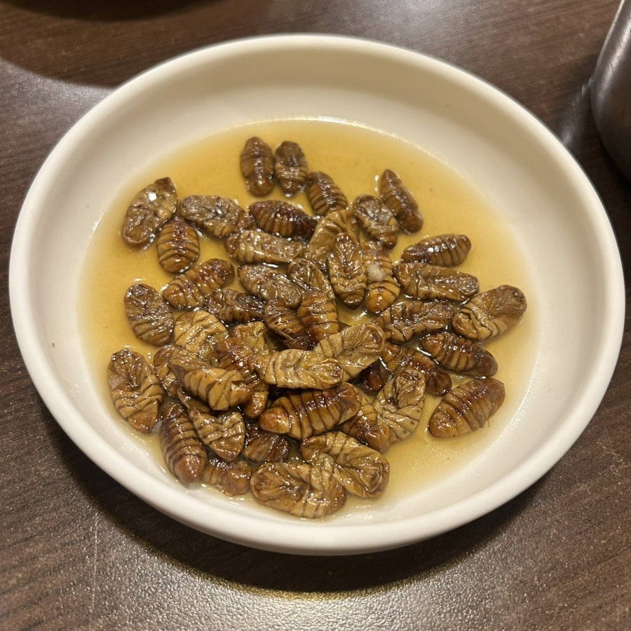 쪽살 사진 6