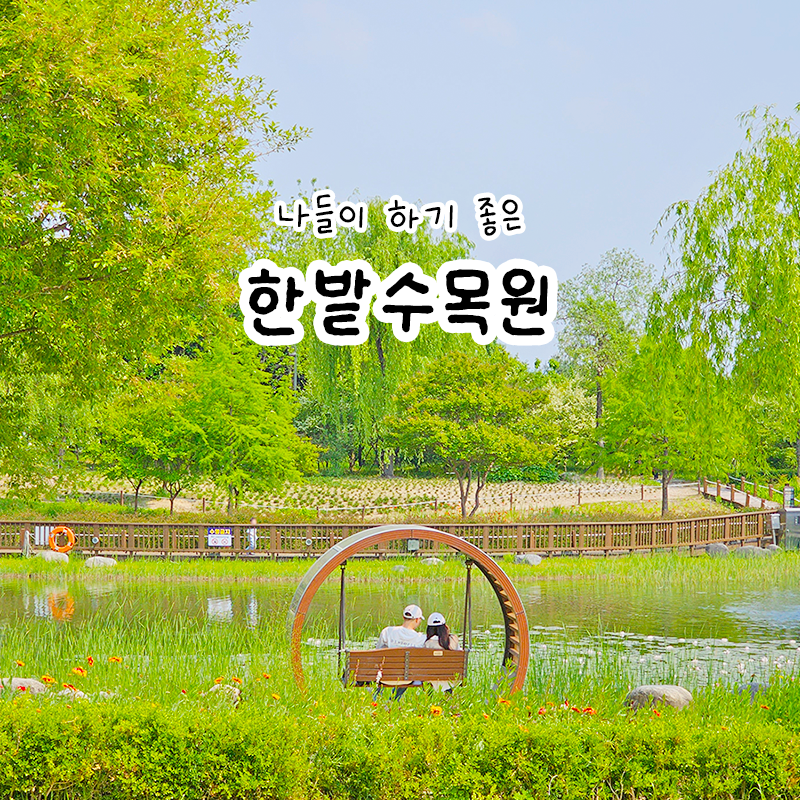 대전 가볼만한곳 한밭수목원 피크닉 나들이 명소 추천