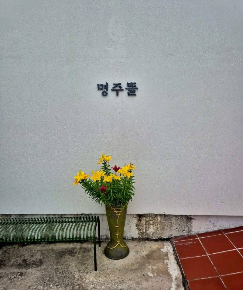 강릉 주문진에서 먹은 샤브샤브 무한리필