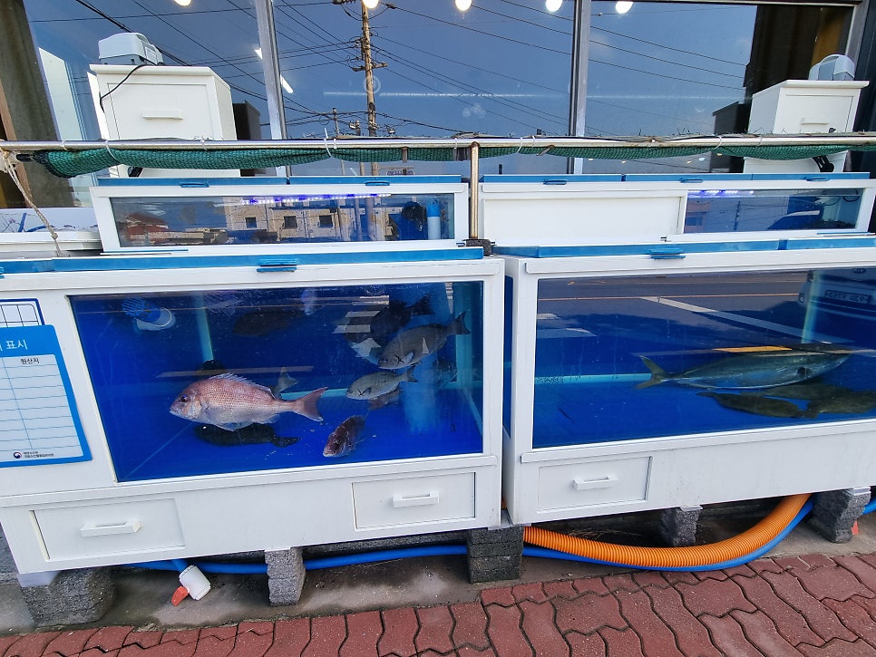 바다생각 사진 3