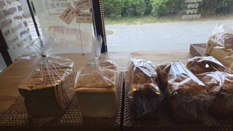 꼼빠냐 사진 6