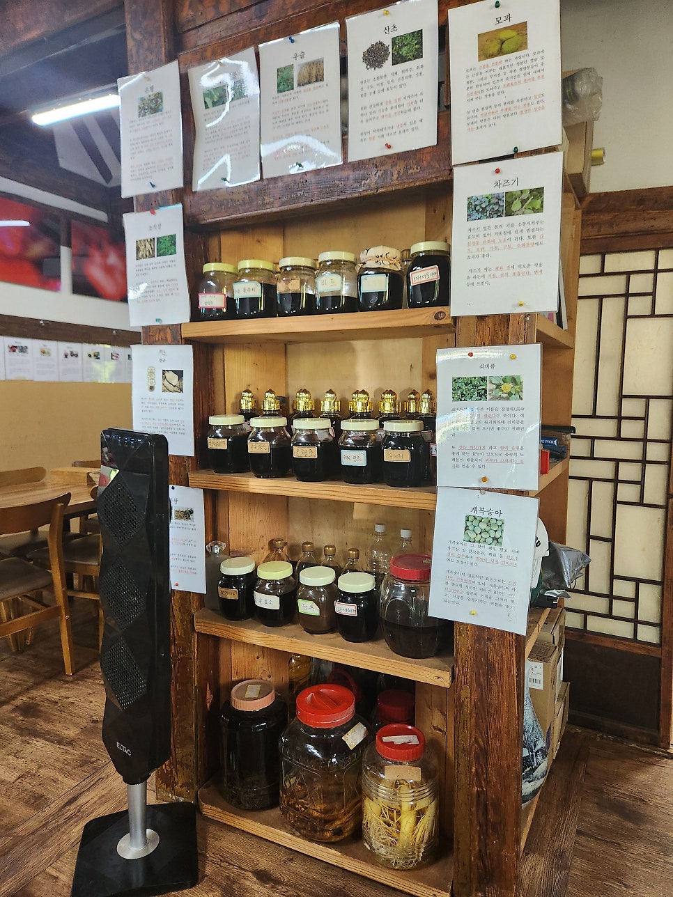 아우네 사진 4