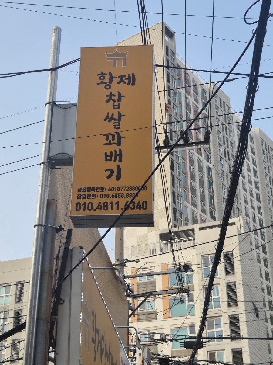 정다함돈가스 사진 4