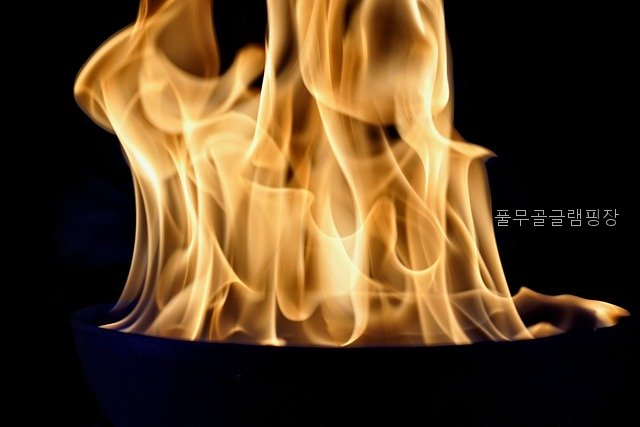 풀무골글램핑장 사진 5