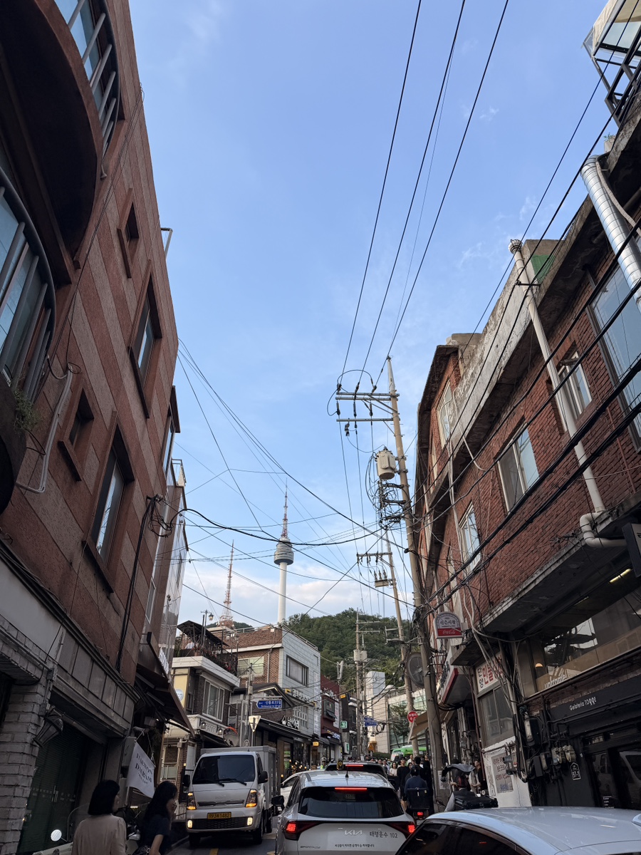 벤디또 사진 1