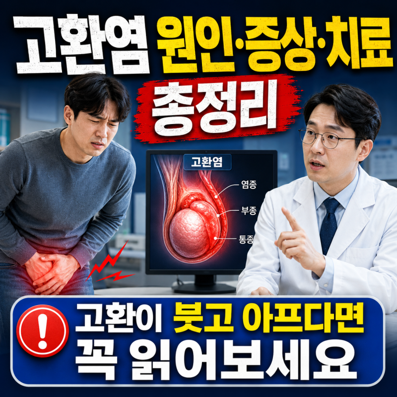 고환염 원인·증상·치료 총정리, 고환이 붓고 아프다면 꼭 읽어보세요