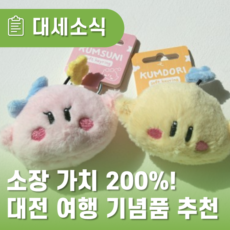 [대세소식] 소장 가치 200%! 대전 여행 기념품으로 무조건 쟁여야 할 역대급 퀄리티의 꿈돌이 ....