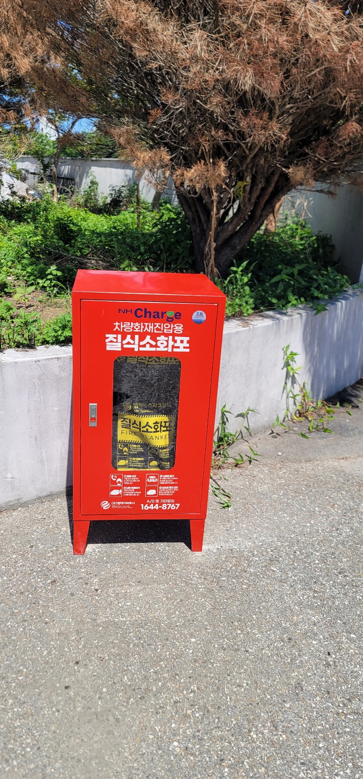묵호농협하나로마트 평릉점 사진 2