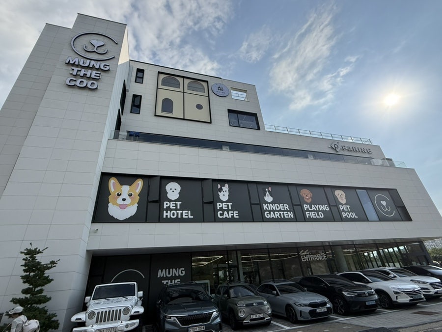 멍더쿠 사진 1