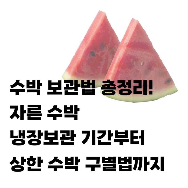 수박 보관법 총정리! 자른 수박 냉장보관 기간부터 상한 수박 구별법까지