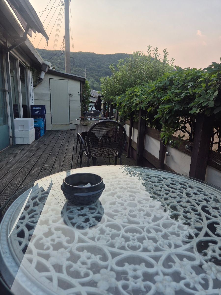 노브 사진 5