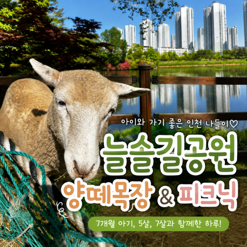 인천 아이와 가볼만한 곳 추천 | 늘솔길공원 피크닉부터 양떼목장까지