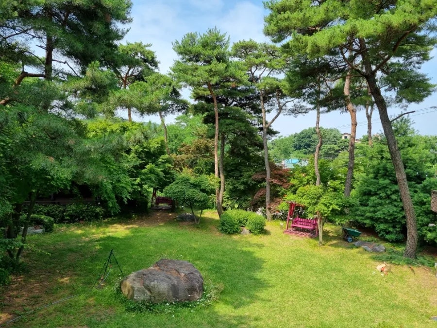 모자연약국 사진 6