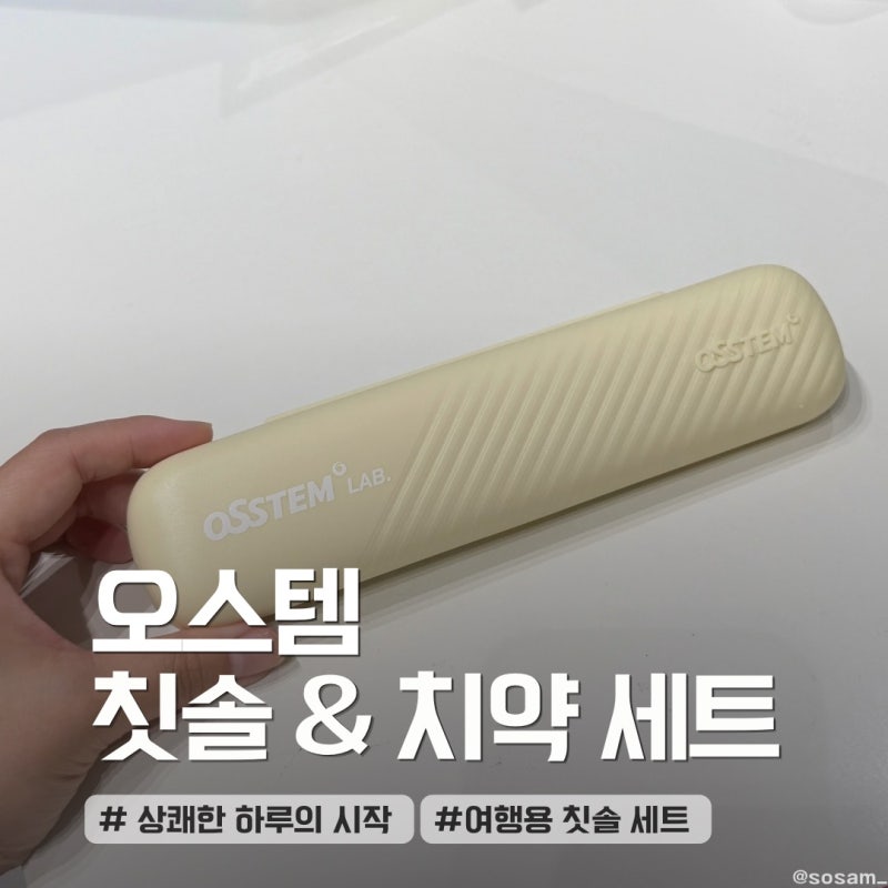 오스템 휴대용 칫솔 세트 추천 솔직 후기, 깔끔한 휴대용 구강관리 필수템