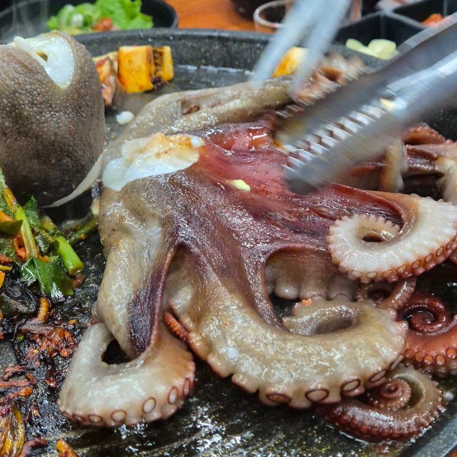 팔미육 사진 4