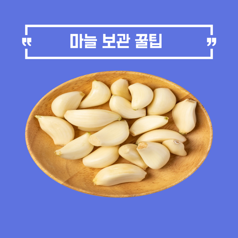 [마늘보관법] 깐마늘. 안깐마늘 싱싱하게 오래 보관하는 방법