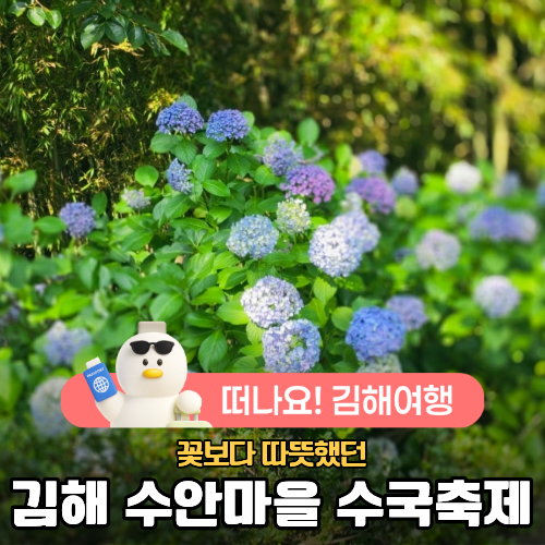 김해 수안마을 수국축제, 주민들이 만든 따뜻한 여름축제