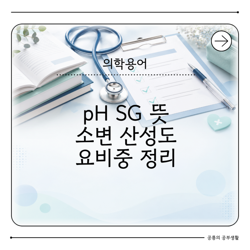 pH SG 뜻 무엇일까? 소변 산성도 요비중 검사 정리