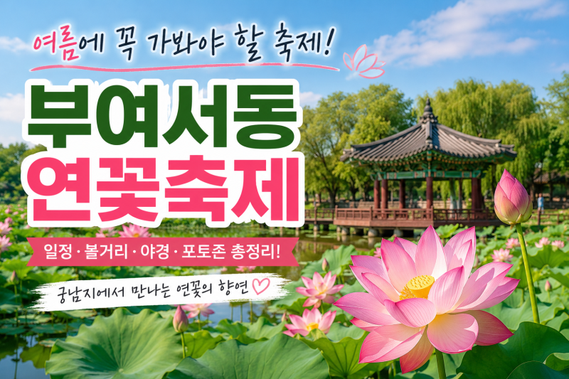 2026 부여서동연꽃축제 총정리｜일정, 볼거리, 궁남지 야경까지 여름 국내 여행 추천