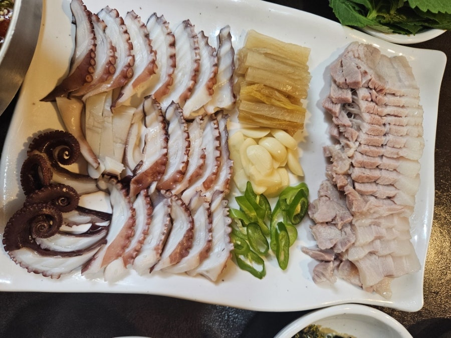 문어가 사진 3