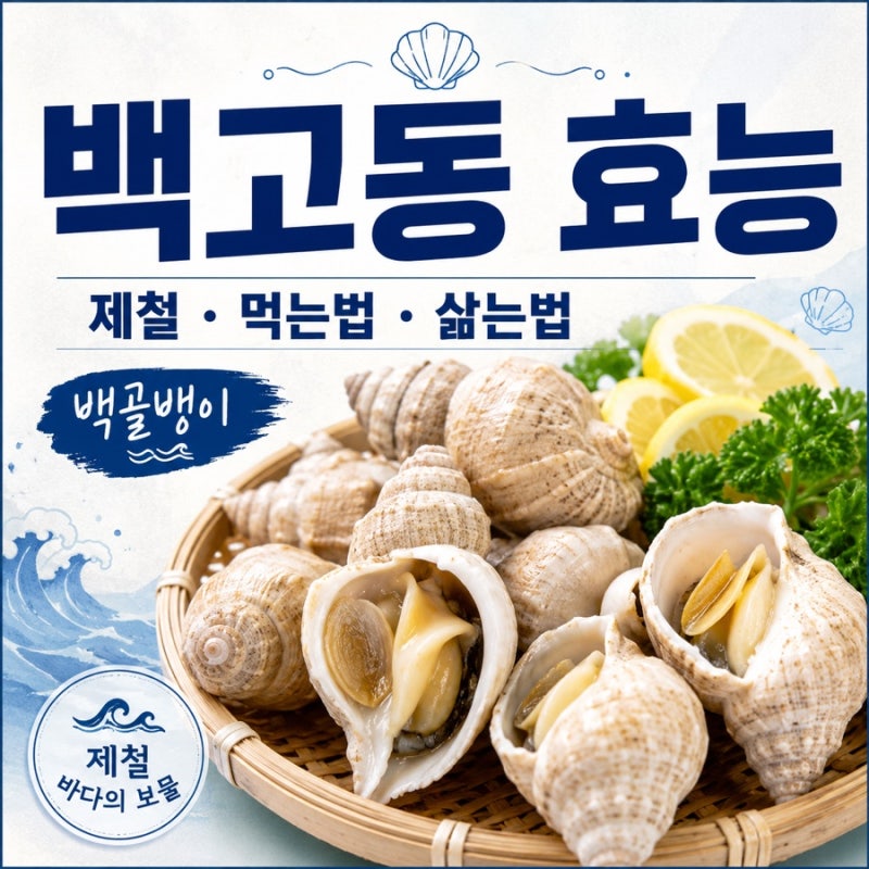 백고동 백골뱅이 효능, 제철 먹는법 삶는법 !
